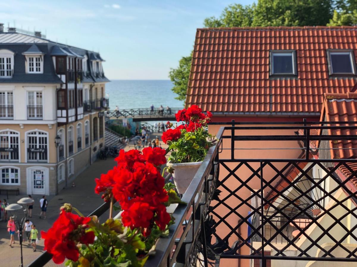 Apartamenty I Pokoje Chaton Mielno Mielno  Luaran gambar